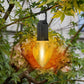 ✨Limited Time Offer 🔥Outdoor Camping Hanging Type-C Charging Retro Bulb Light