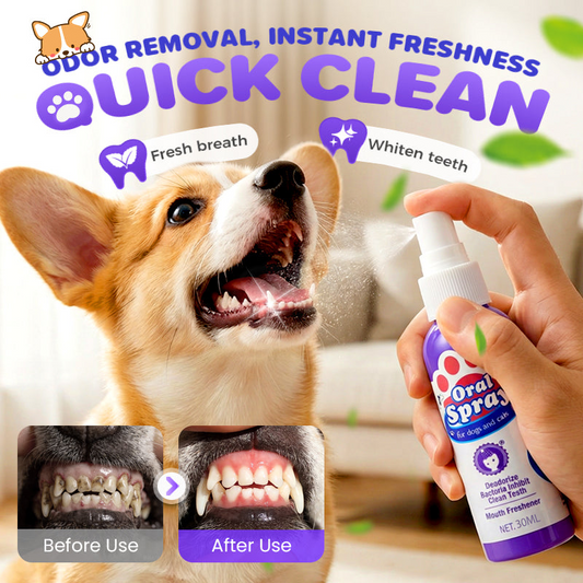 🎁Each Only￡3.49💥No-Brush Pet Dental Care Spray