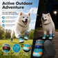 ⏳ Limited-Time 50% OFF 🐶 Breathable Mesh Dog Shoes with Luminous Design – Lightweight & Comfortable Paw Protection ✨