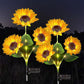 💐60% OFF ! Sunflower Solar Lights – Glowing Garden Decor 🌻🌙【Limited Offer】
