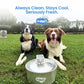 Wireless,  automatic water sensor pet drinking machine for cats and dogs. Continuous circulating fresh water intelligent drinking machine.