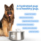 Wireless,  automatic water sensor pet drinking machine for cats and dogs. Continuous circulating fresh water intelligent drinking machine.