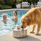 Wireless,  automatic water sensor pet drinking machine for cats and dogs. Continuous circulating fresh water intelligent drinking machine.