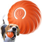 🎁Automatischer intelligenter Hundeball zum Necken🐶