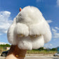 🏆2026 Hot Sale 50% OFF🐰 Handmade Soft Bunny PomPom Charms