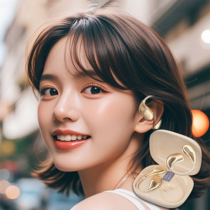 🔥50%OFF hot  Sale🔥HiFi Waterproof Ear-Hook Bluetooth Headphones