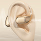 🔥50%OFF hot  Sale🔥HiFi Waterproof Ear-Hook Bluetooth Headphones