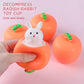 🔥POP UP Carrot Bunny (make life more joy)