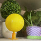 ✨2026 Hot Sale⌛🔥Sticky Fruit Fly Trap Ball with Stand & LED