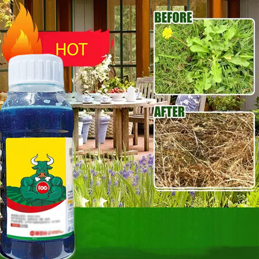 Powerful Concentrated Herbicide