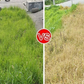 Powerful Concentrated Herbicide