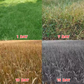 Powerful Concentrated Herbicide
