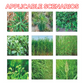Powerful Concentrated Herbicide
