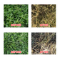 Powerful Concentrated Herbicide