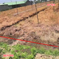 Powerful Concentrated Herbicide