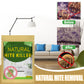 ⏳ LAST DAY SALE ONLY £8.98!! 🌿🛡️ The UK's #1 Natural Mite Control Sachet – Vetted by Allergy UK • 100% Chemical-Free • Safe for Babies, Pets & Asthma Sufferers 🛏️✨