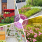 🌺 Colorful wildflower seed mix for all seasons