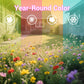 🌺 Colorful wildflower seed mix for all seasons