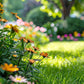 🌺 Colorful wildflower seed mix for all seasons