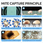 🔥 90-Day Dust Mite Trapping Sheet – Breathe Easier & Sleep Better! 🛏️✨