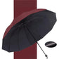 🔥 LAST DAY PROMOTION - 50%OFF ☔12-Rib Large Foldable Windproof Umbrella