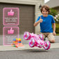 Double-Sided Remote Control Stunt Car