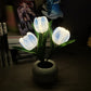 LED Tulip Night Light Flower Table Lamp🌷✨Buy 2 free shipping