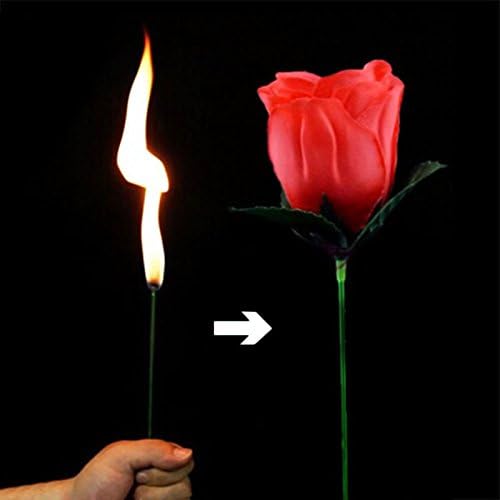 Magic Rose - Torch to Rose