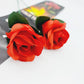 Magic Rose - Torch to Rose