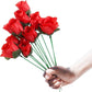 Magic Rose - Torch to Rose