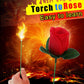 Magic Rose - Torch to Rose
