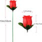 Magic Rose - Torch to Rose