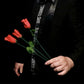 Magic Rose - Torch to Rose