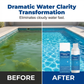 🏆 Last Day Special Price £9.77 ! 🔥Buy 2 Get 1 Free💧 Swimming Pool Purifying Liquid – Crystal Clear Water, Zero Hassle! ✨