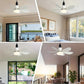 ⏳LIMITED-TIME 55% OFF!⏰2-in-1 Smart Ceiling Fan Light