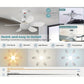 ⏳LIMITED-TIME 55% OFF!⏰2-in-1 Smart Ceiling Fan Light