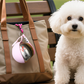 🎉 2026 Sale — Over 41,500 Sold!🐶 2‑in‑1 Portable Dog Water Bottle for Small Dogs