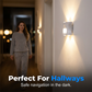 Motion Sensor Wall Light with Remote