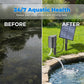 🔥LIMITED TIME 56% OFF!🔥 ☀️ Solar Pond Aerator With Built-in Air Pump🐟💧Eco-Friendly Aeration Made Easy