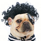 🐱LAST DAY SALE: ONLY ￡9.99!!🎁✨Funny Pet Wig Set