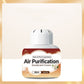 Long-Lasting Plant-Based Air Freshener Box