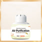 Long-Lasting Plant-Based Air Freshener Box