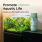 Safe & Fast Chlorine Removal Water Purification Tablets