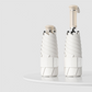 Portable parasol with telescopic handle