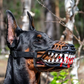 🎃50% OFF NOW ! 🐶Halloween Realistic Spoof Pet Muzzle – Scary Bloody Fangs Dog Costume Muzzle, Adjustable Funny Cosplay Accessory for Halloween Party