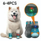 ⏳ Limited-Time 50% OFF 🐶 Breathable Mesh Dog Shoes with Luminous Design – Lightweight & Comfortable Paw Protection ✨