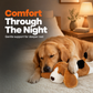 Heartbeat Stuffed Dog Toy for Puppies