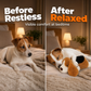 Heartbeat Stuffed Dog Toy for Puppies