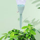 🥳HOT SALE🥳💞10K+ SOLD! Self-Watering Spike – From £6.99! Adjustable flow, 3–20 days & universal fit. Plants thrive – grab yours! ✅