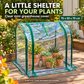 Transparent Mini Greenhouse Cover